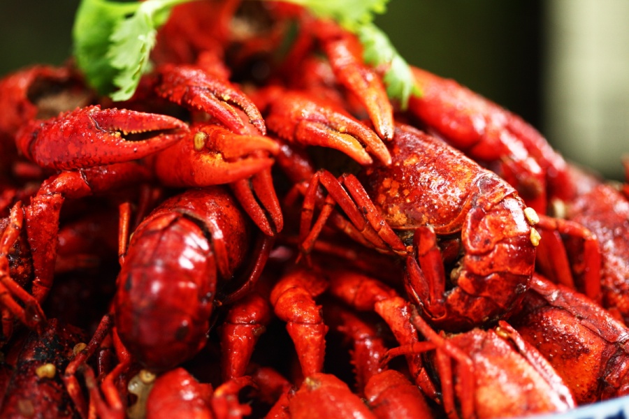 菜男油焖大虾,更新菜谱,淡定不了今天晚上宵夜