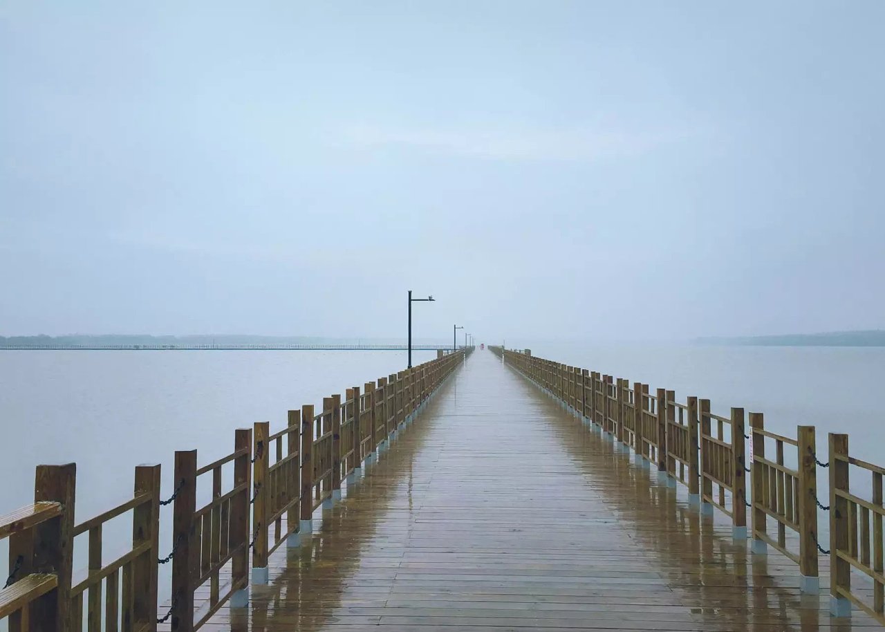 雨中漫步\/上海崇明岛明珠湖\/西沙湿地 公园|摄影|风光|程阅川 - 原创作品 - 站酷 (ZCOOL)