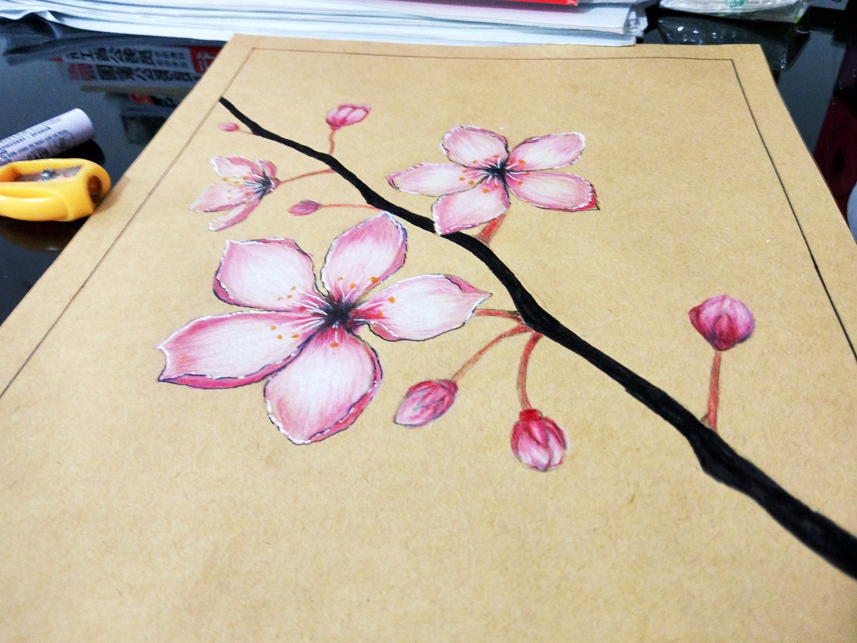 樱花手绘彩铅画图片