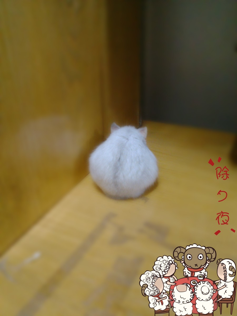 原创创意贴纸|图形\/图案|平面|T0ng彤 - 原创设计