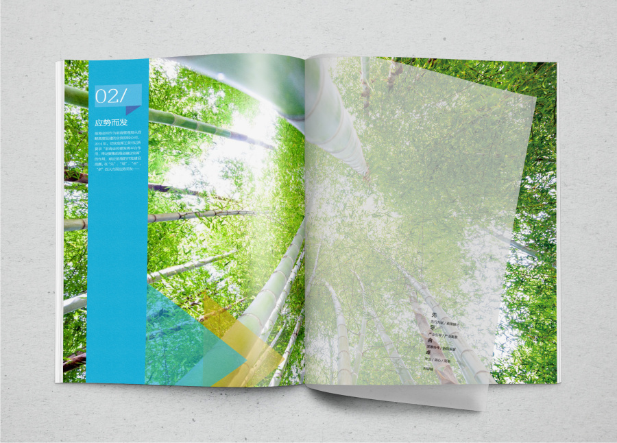 前海金控企业画册设计方案|书装\/画册|平面|鲁禄