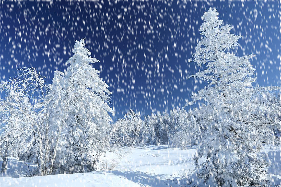 ae制作雪花飘落_java制作雪花_ps制作雪花