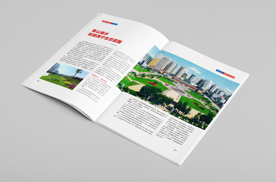 《西宁市房地产业》期刊设计|书装\/画册|平面|在
