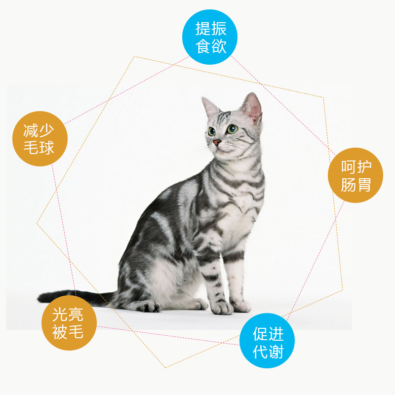 猫粮主图|电子商务\/商城|网页|布小千 - 原创设计