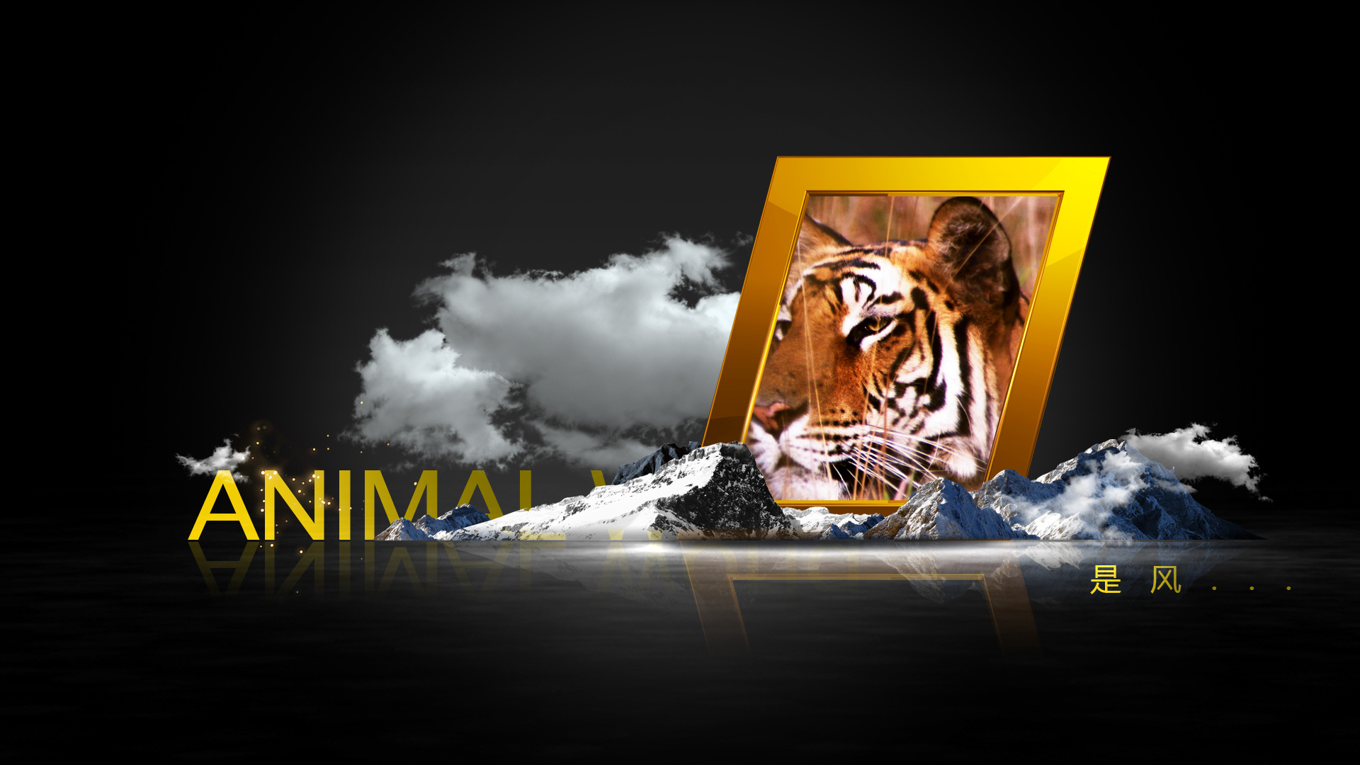 cctv《动物世界》栏目片头包装创意