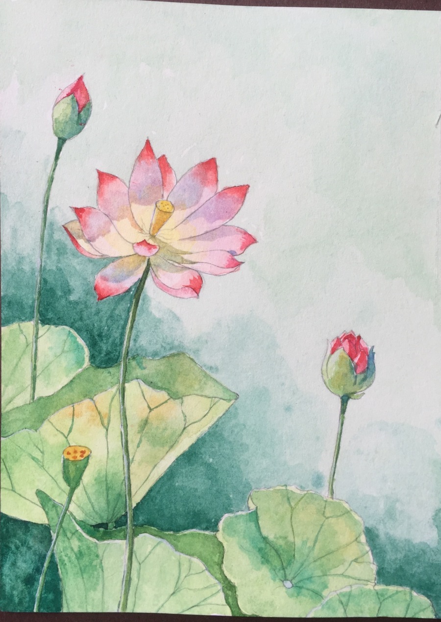 清水出芙蓉,莲花心正开|水彩|纯艺术|xieranran1
