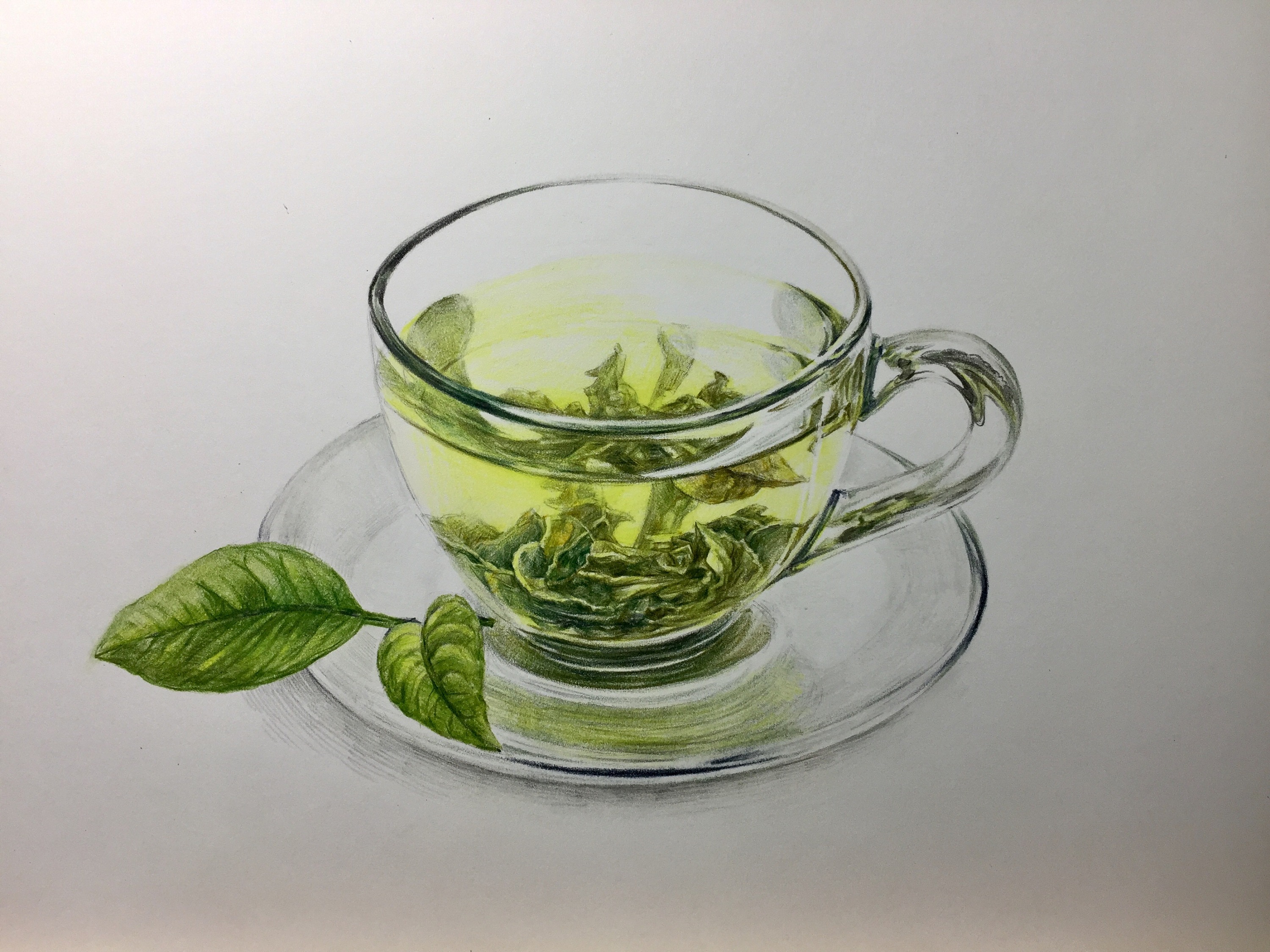 彩铅玻璃杯绿茶|纯艺术|彩铅|毛伟漫画 - 原创作品