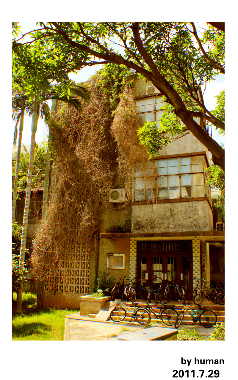 查看《厦门回忆》原图,原图尺寸:800x1280