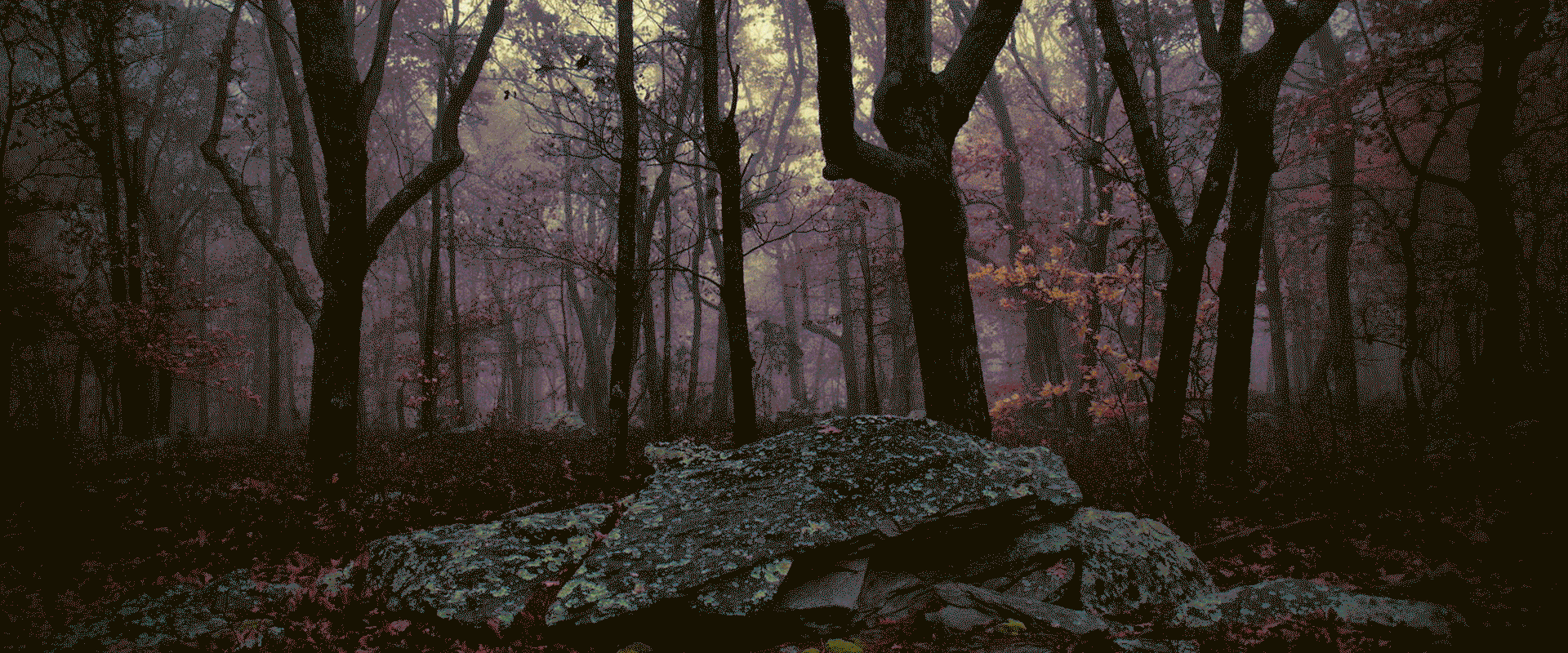 alice in wonderland 合成海报设计