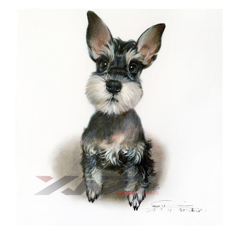 子小伟彩铅画,《萌宠系列》可耐的汪星人来袭