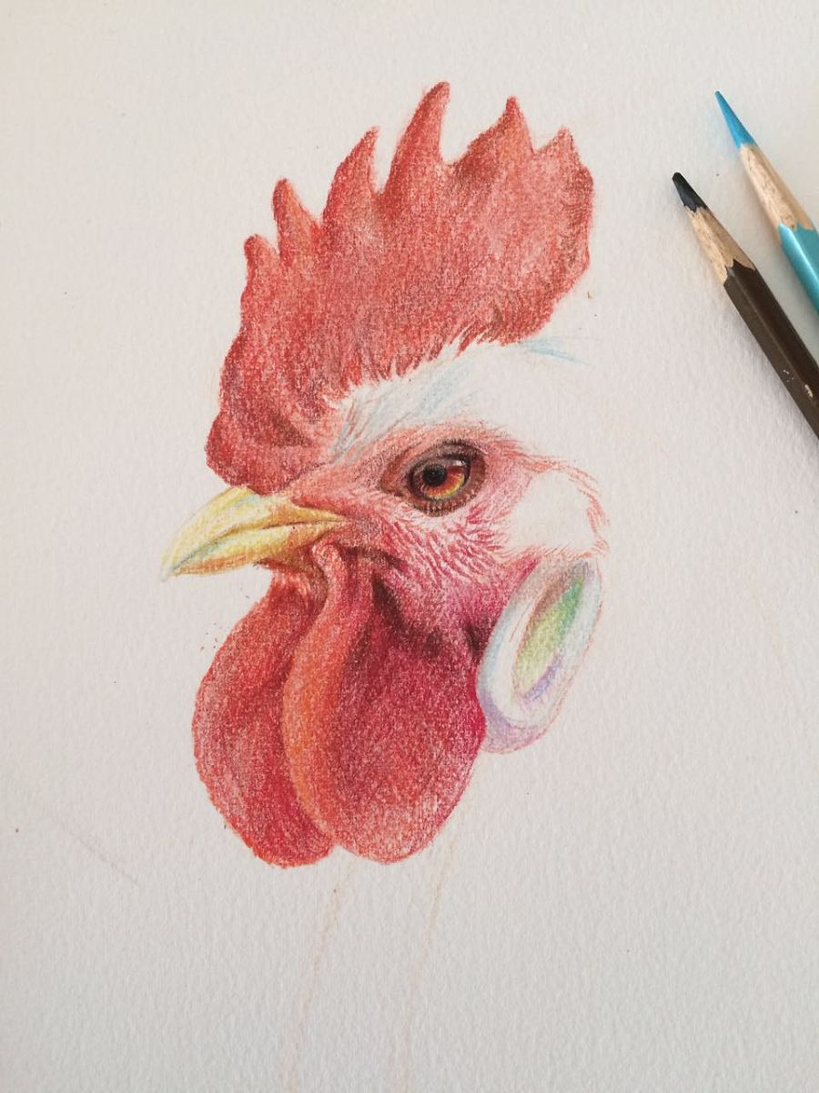鸡年来画只大公鸡|其他艺创|纯艺术|YTuGe - 原