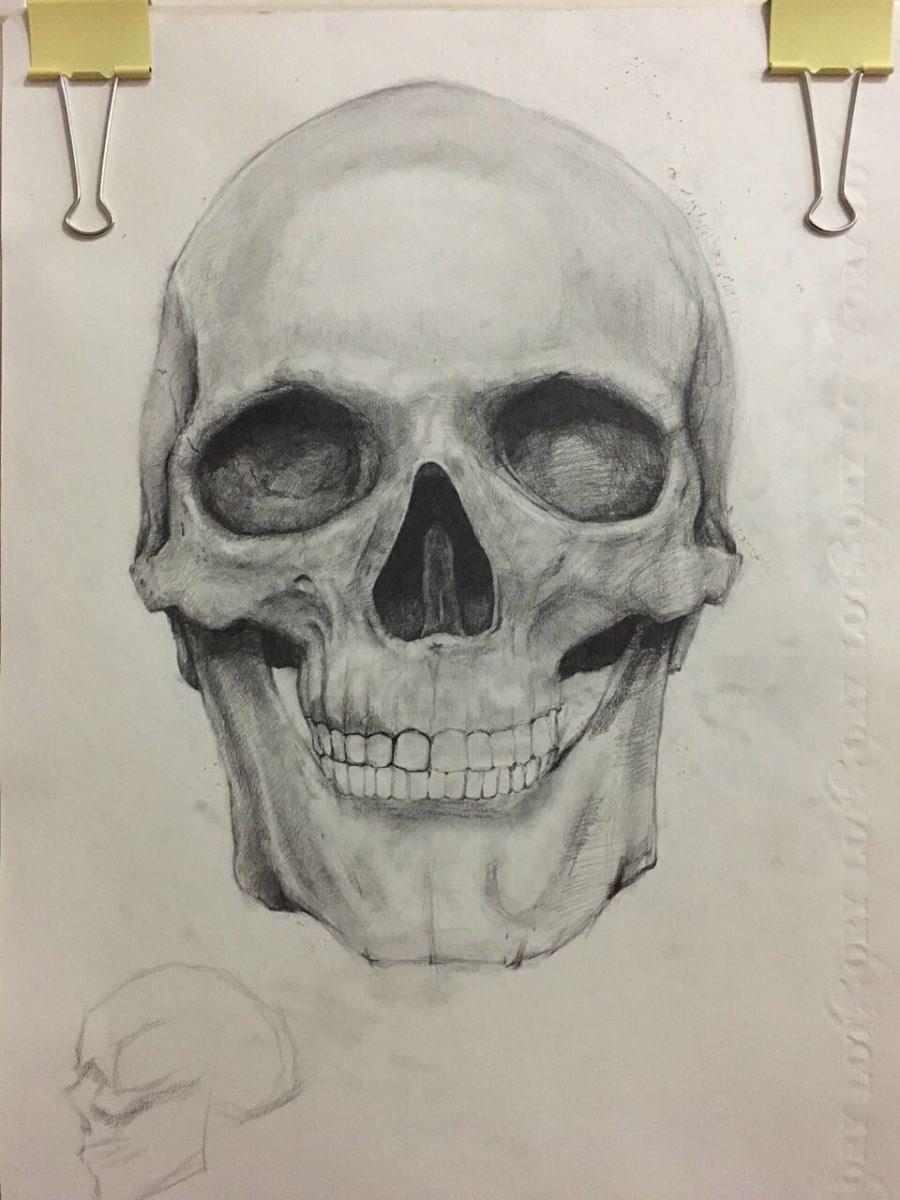 骷髅头(素描)|素描|纯艺术|王大业007 - 原创设计作品 - 站酷 (ZCOOL)