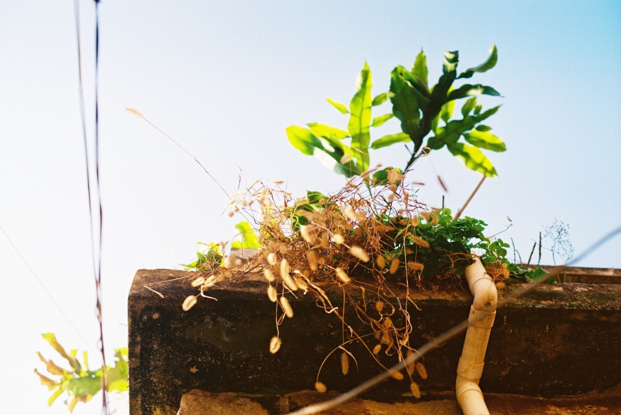 那些被遗忘的街角|风光|摄影|煎饼果子拍照铺 -