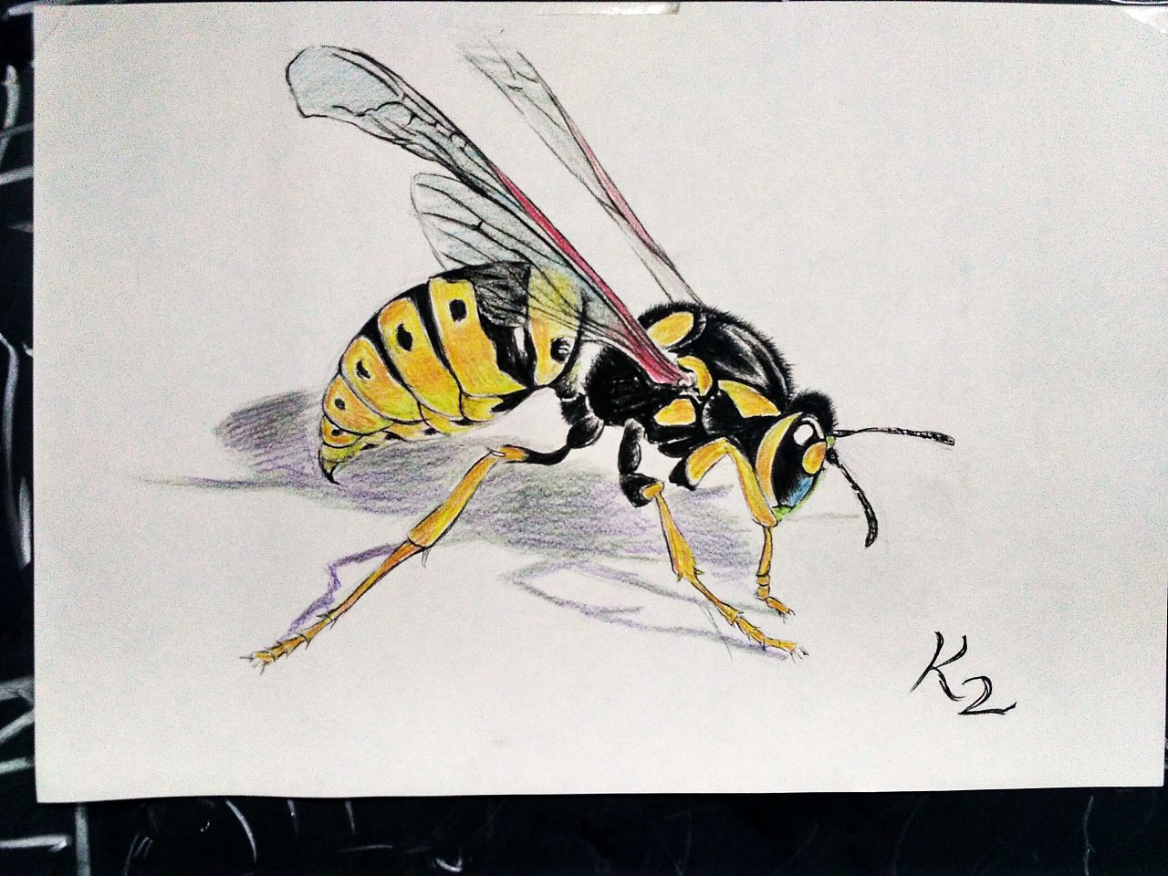 彩铅小蜜蜂|纯艺术|绘画|半岛先森 - 原创作品 - 站酷