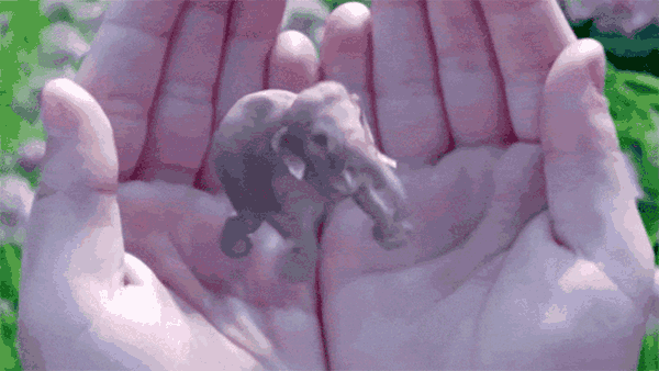 vr,ar和mr如何重新定义未来?