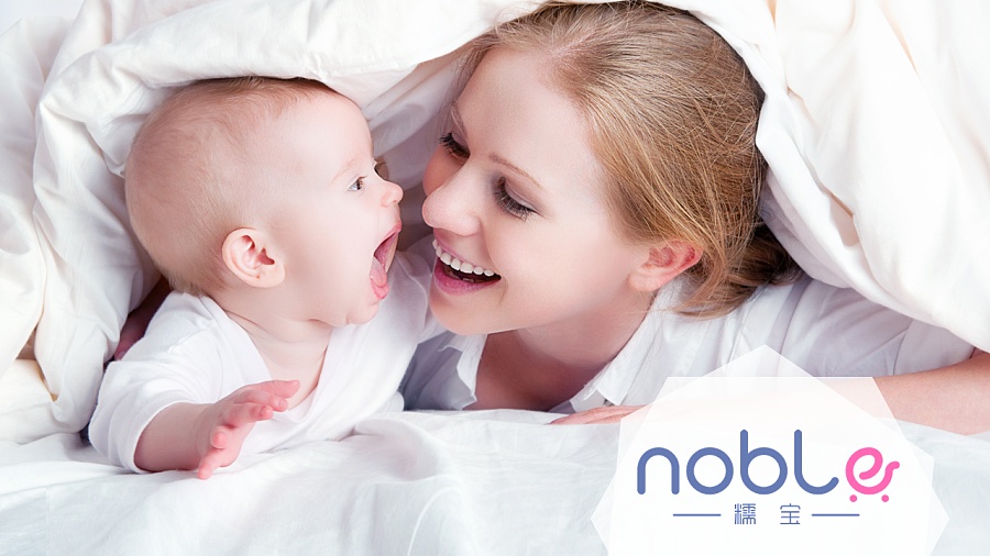 糯宝网--noble 母婴电商网站logo|VI\/CI|平面|pus