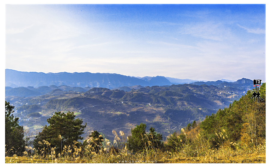 思南县 思林乡 白鹭湖边|风光|摄影|像少年一样