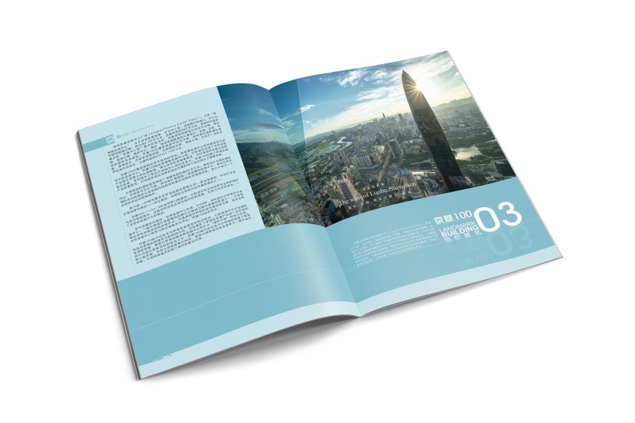 来了就是深圳人|书装\/画册|平面|DoublebinS - 原