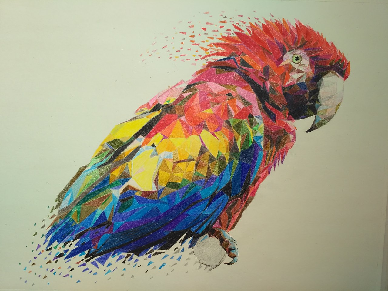 彩铅鹦鹉|纯艺术|绘画|马行画彩铅 - 原创作品 - 站酷 (ZCOOL)
