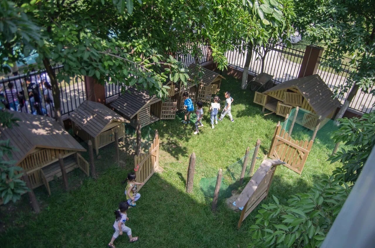 “中国式藤幼儿园”-上界历经七年的匠心之作