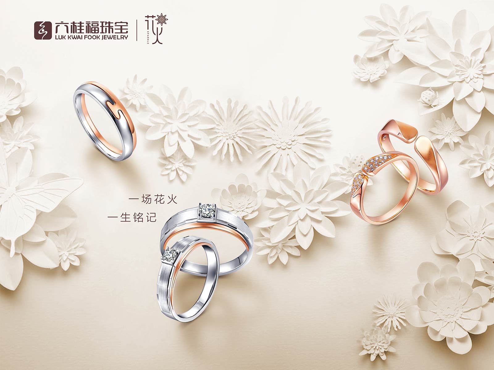 2016六桂福新品新海报