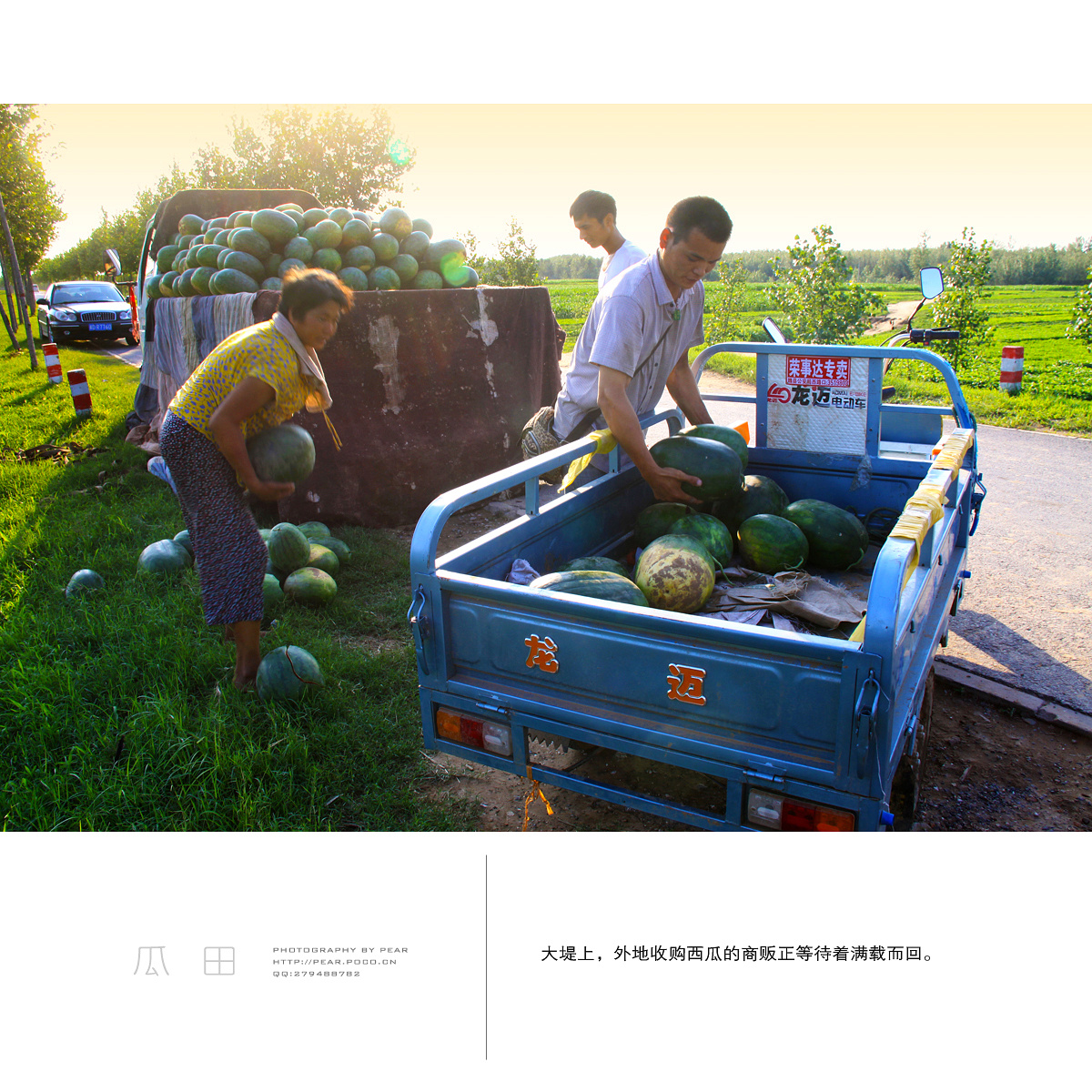 瓜田纯士 站酷网