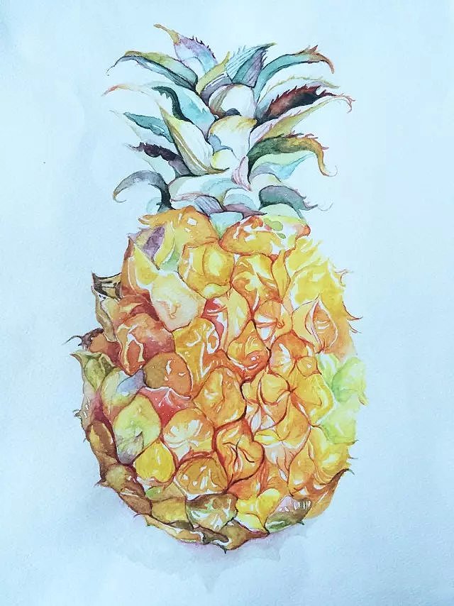 水彩画菠萝