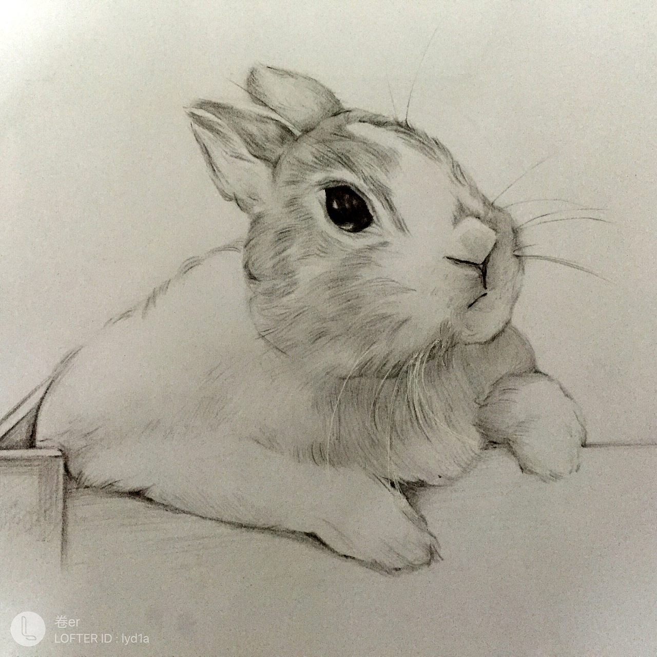 很久以前画的小兔子      