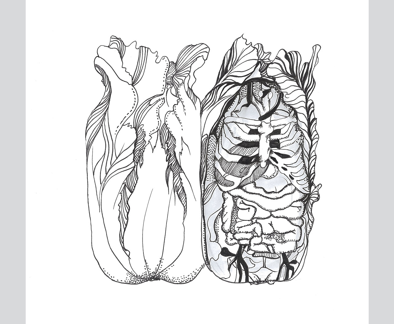 创意图形设计系列——白菜