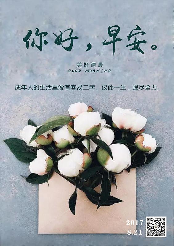每日早安图