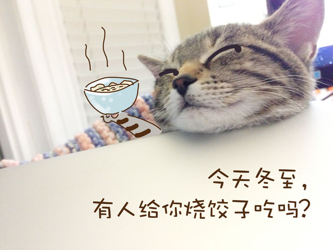 今日冬至|短篇/四格漫画|动漫|5原创-达达v漫画阁吧漫画梦异图片
