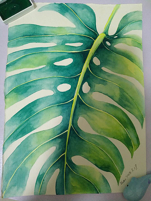 北欧风龟背竹|插画|插画习作|淡蓝色浅笑 - 原创作品