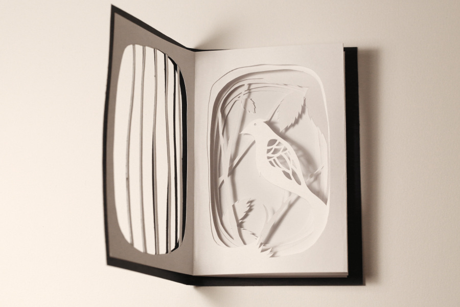 《自由》概念书籍设计|书装\/画册|平面|冷三岁i