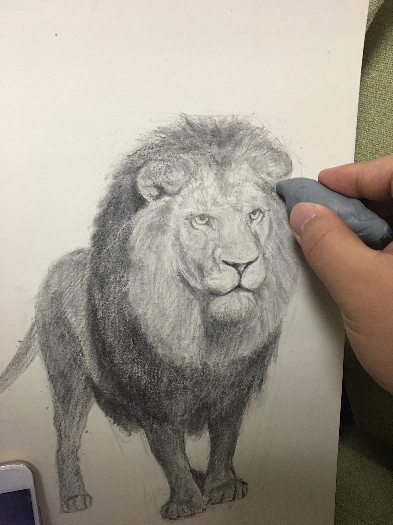 狮子素描练习