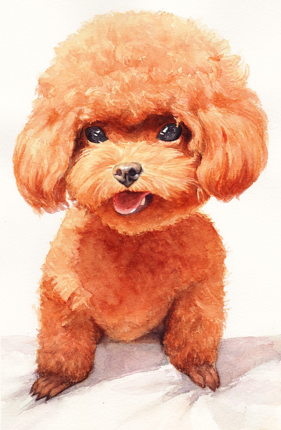 小泰迪轻声轻语的叫妈妈!主人听到后开心的合不拢嘴!