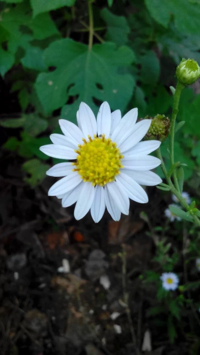 这张照片没有exif信息,详情可通过评论或私信咨询