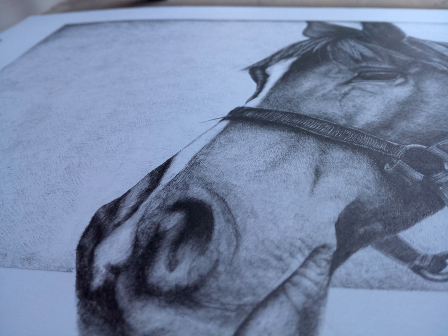 思念英雄马|钢笔画|纯艺术|纽x扣 - 原创设计作品