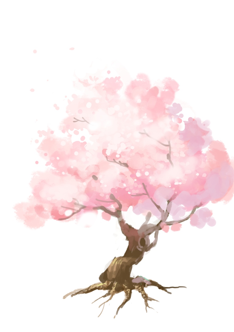 樱花树|绘画习作|插画|realttt - 原创设计作品 - 站