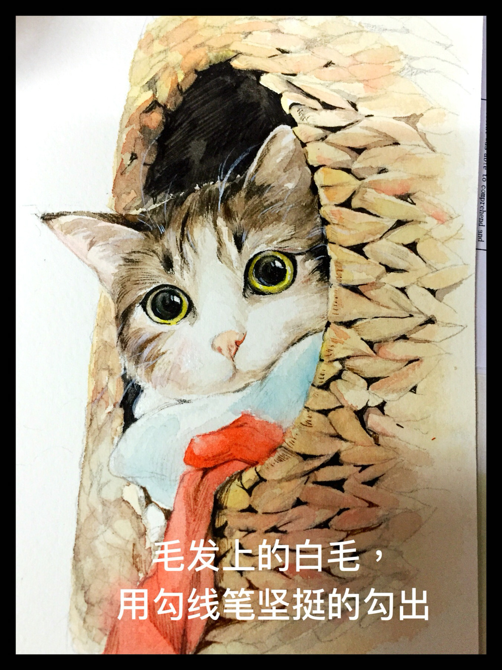 手绘水彩瓜皮猫。教程图解|插画|涂鸦\/潮流|田田的甜甜 - 原创作品 - 站酷 (ZCOOL)