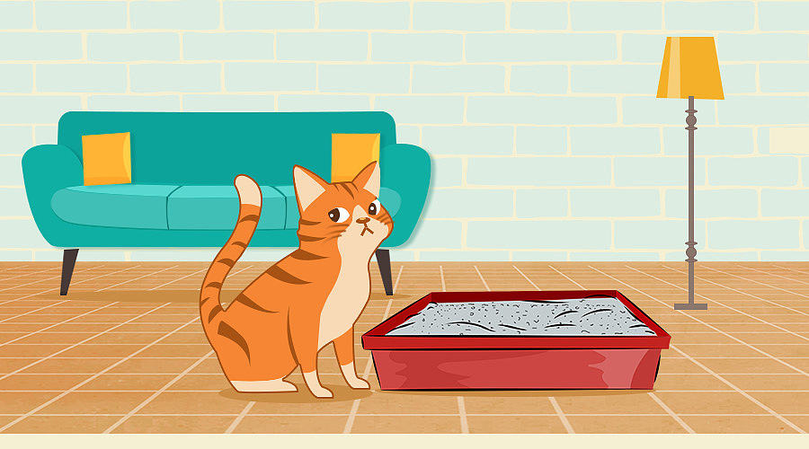 膨润土猫砂微信公众号插图