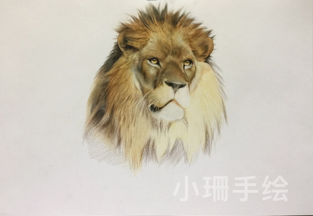 彩铅大狮子1f981