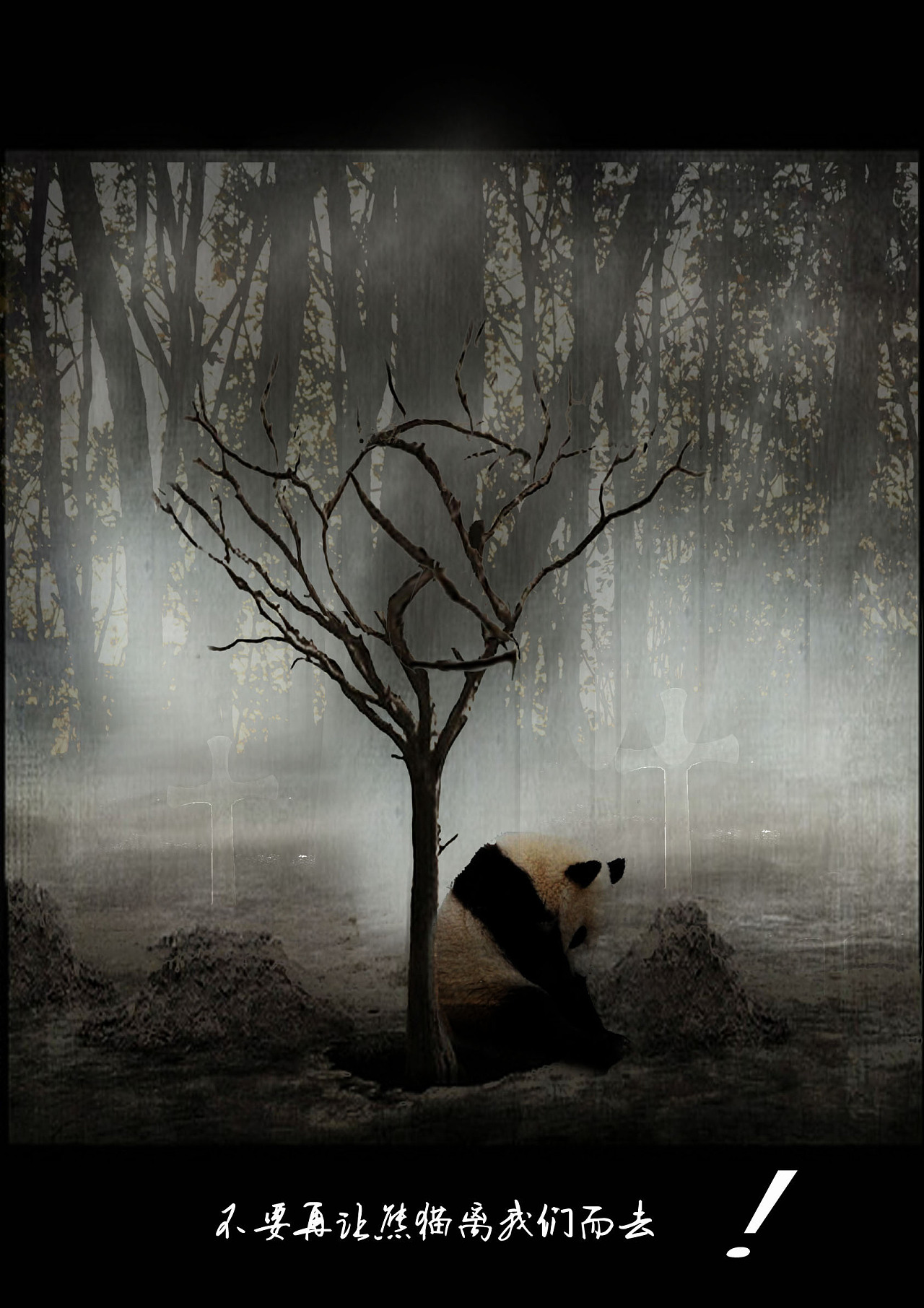 本作品熊猫为主,以坟墓和枯树做辅助,来衬托出熊猫的孤独