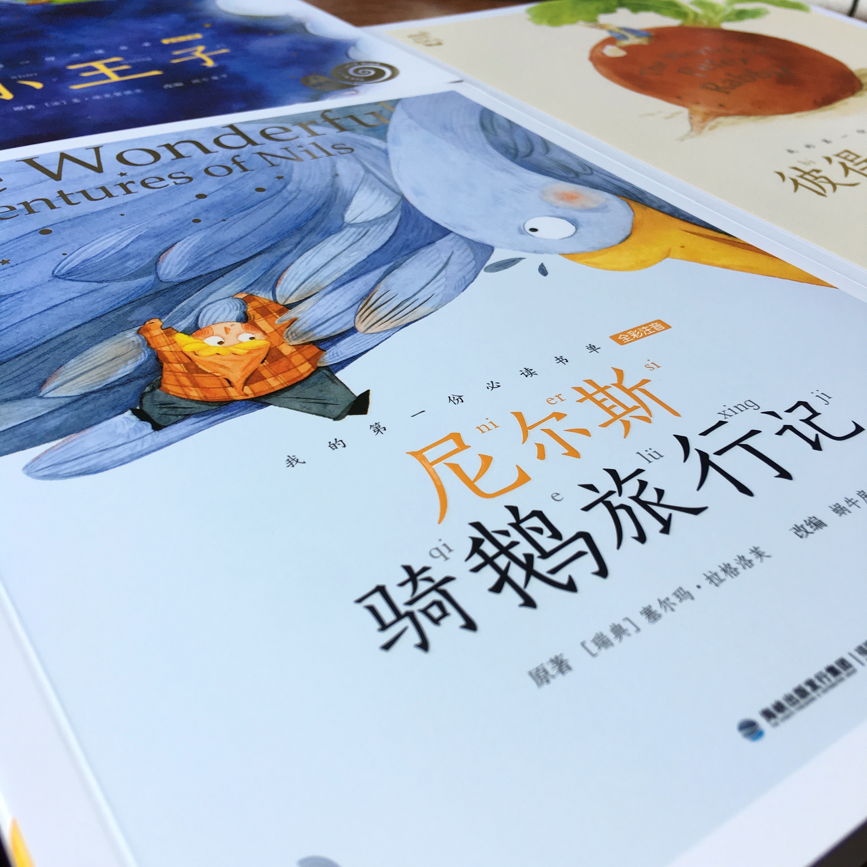 《尼尔斯骑鹅旅行记》插画配图