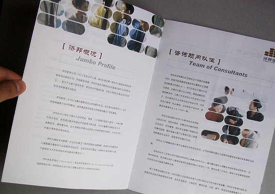 公司画册设计、咨询公司宣传册设计图片、上海