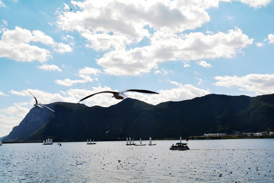 我来过这些美丽的地方--记大理、丽江、昆明、