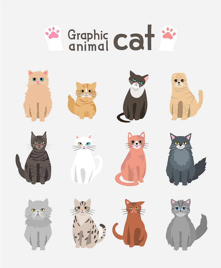 扁平简洁手绘卡通可爱呆萌猫狗宠物形象合集插画设计