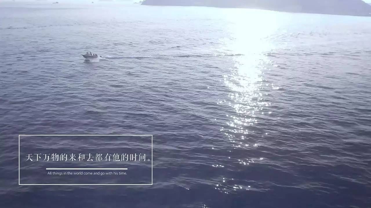 那些你很冒险的梦