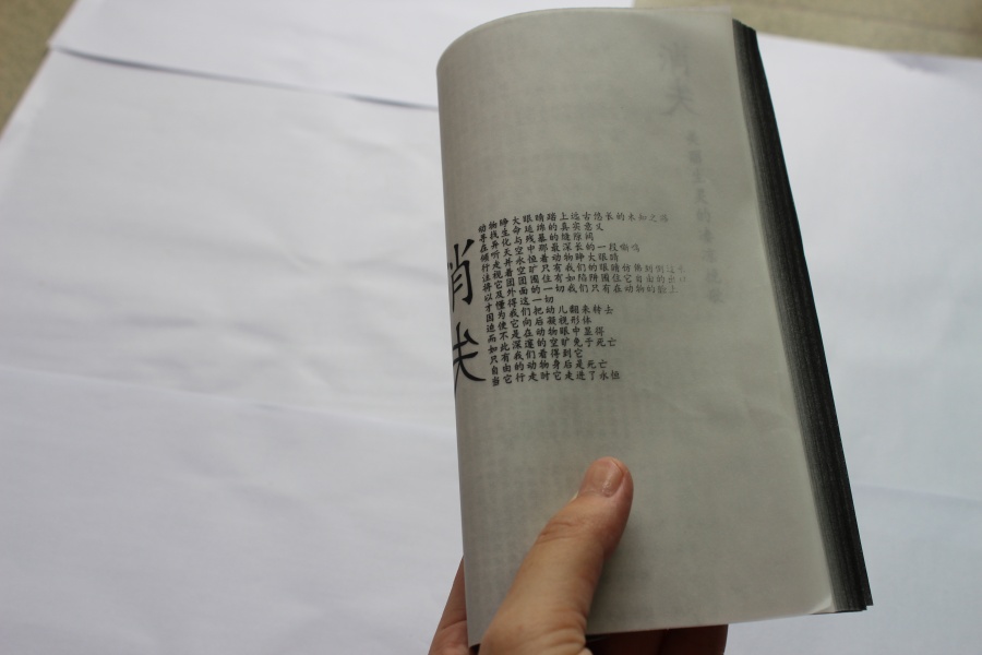 概念书籍消失|书装\/画册|平面|cheng0814 - 原