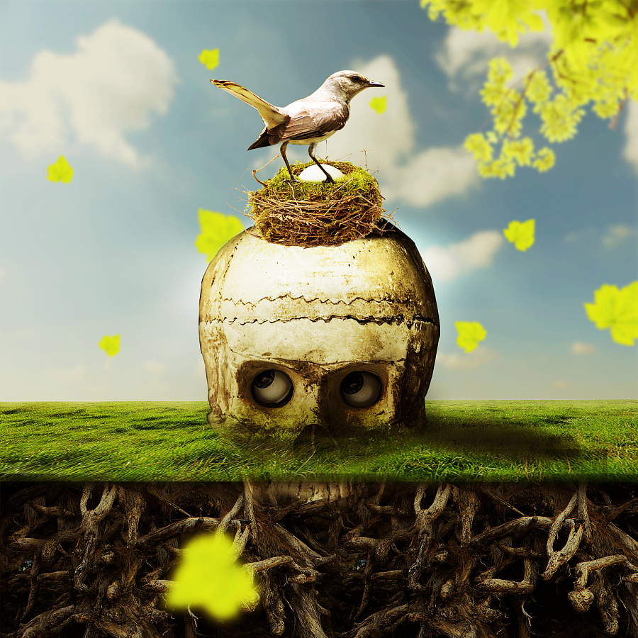 每天临摹一点点,进步就多一点点!|图形\/图案|平