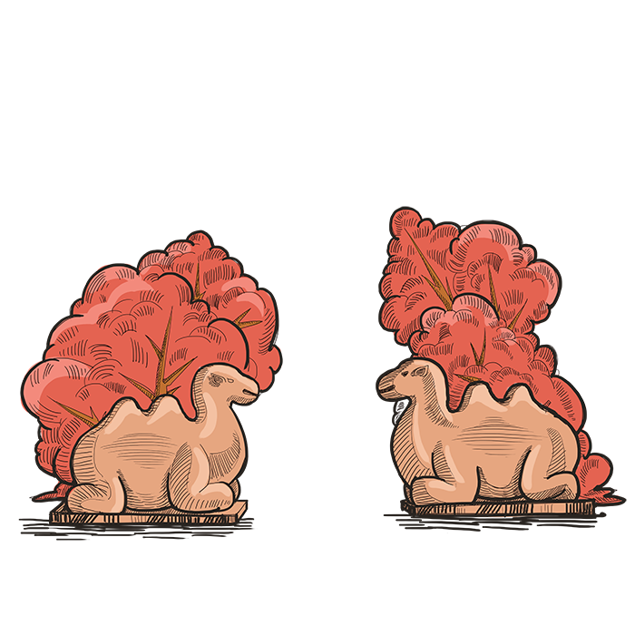 南京景点第二批|绘画习作|插画|罗宾汉 - 原创设